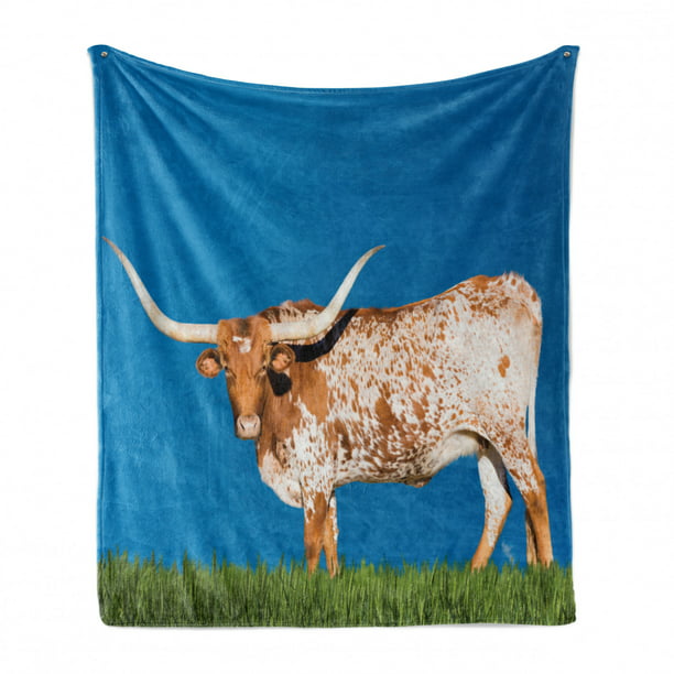Female Cow on Grassland and Open Sky Farm Photo Cozy Plush for Indoor and Outdoor Use Ambesonne Longhorn Soft Flannel Fleece Throw Blanket Sea Blue Fern Green 50 x 60 